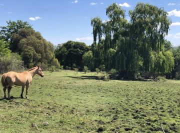 Campo · 900000000ha · Campo en Venta Mina Clavero 9,3 Has Traslasierra!,con Titulo, Bellisimo!