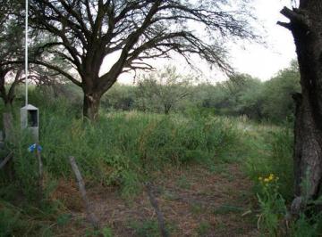 Campo · 120000ha · Venta de 12 Ha en Conlara en Traslasierras!