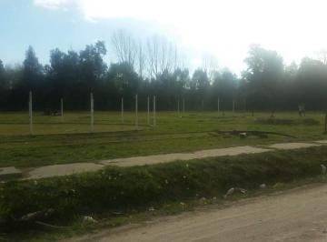 Terreno · 7750m² · Terreno en Tristán Suárez, Calle Belgrano