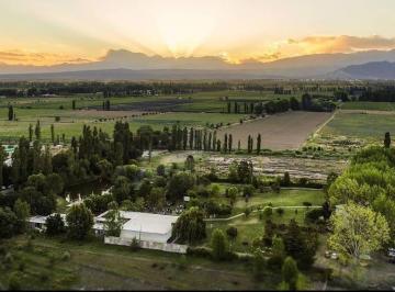 Local comercial · 390m² · Salón de Fiestas en Venta en Luján de Cuyo - Mendoza