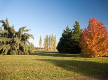Terreno · 3300m² · Lote en Venta en Chacras Barrio La Primavera Golf, Carlos Keen, Lujan