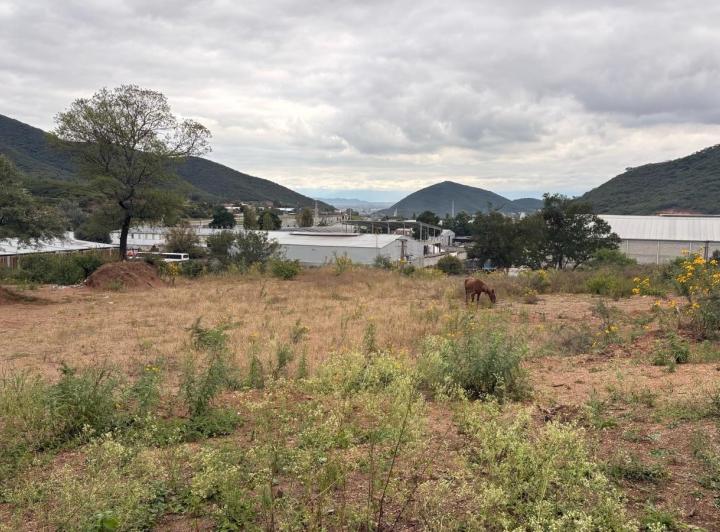 Terreno · 4783m²
