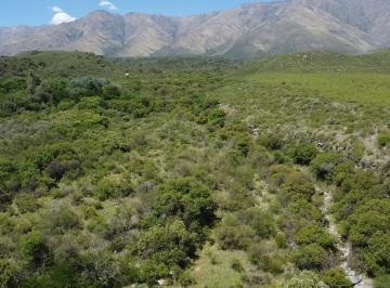 Terreno · 26500m² · Fabulosogran Terreno de 2,6 Hectáreas en La Población, Traslasierra!
