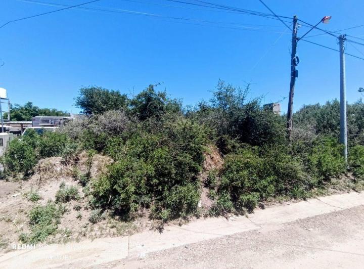 Terreno · 619m²