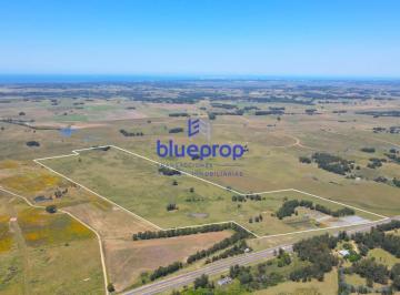 Foto1 · Campo en Venta en Maldonado, en Zona de Gran Crecimiento.