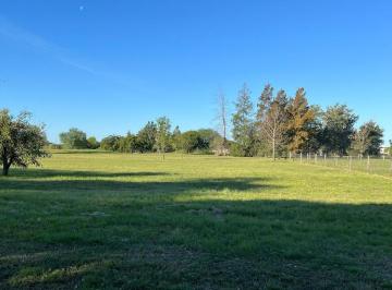 Terreno · 1233m² · Terreno en Medal Country Club, Pilar