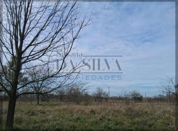 Campo · 10000m² · 1 Ambiente · 1 Hectarea en Zona Rural con Casa a Terminar. Marcos Paz