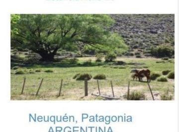 Campo · 22300000m² · Estancia 22300 Ha Piedra del Aguila. Departamento de Collon Cura. Provincia de Neuquén U$s 600 X H