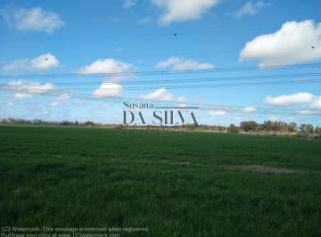 Campo · 80000m² · 1 Ambiente · Fraccion de Campo 8 Ha Marcos Paz