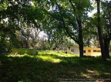 Terreno · 3500m² · Precioso Lote Forestado, El Moro C/ Pileta y Casa a Reciclar