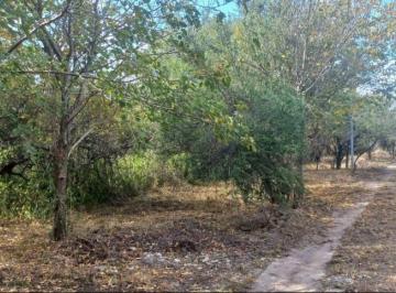 Foto · Fraccion de Terreno Villa Allende Golf Calle Eeuu Al 1900