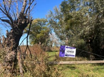 Campo · 100000m² · 1 Ambiente · Campo/chacra de 10 Ha a La Venta en Mercedes