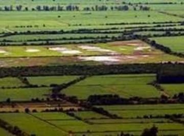 Campo , General Juan Madariaga · 1800 Hectáreas Mixtas en Madariaga: Agricultura, Ganadería y Laguna de 250 Ha con Potencial Turístic