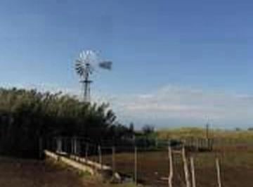 Campo · 5000000m² · 1 Ambiente · Campo Mixto Estratégico en Ayacucho: 500 Hectáreas con Acces