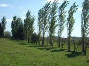 Campo · 60000m² · 1 Ambiente · Oportunidad en Corredor Norte (Ruta 8, Km 67): 6 Ha Apto Des