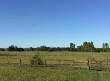 Campo · 2147483647m² · 1 Ambiente · Estancia Campos Verdes: 226.000 Hectáreas en Catamarca. Acti