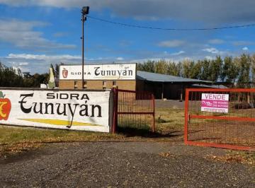 Campo · 50000m² · 1 Ambiente · General Roca: 5 Ha con Frente a Ruta 22 y Doble Calle Públic