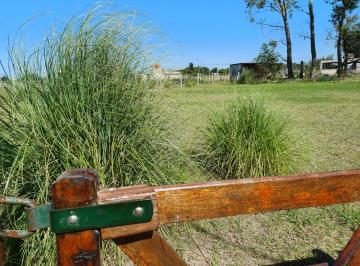 Terreno · 1000m² · Venta Terreno / Lote Cucullú 1000 m²