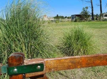 Terreno · 1000m² · Venta Terreno / Lote Cucullú 1000 m²
