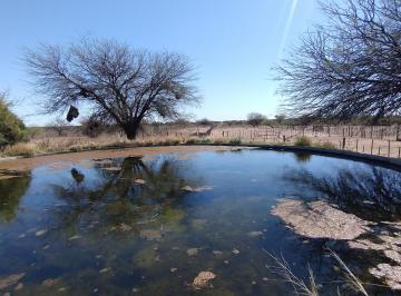 Terreno en Venta de 2 ambientes · Campo Ganadero en Santiago del Estero