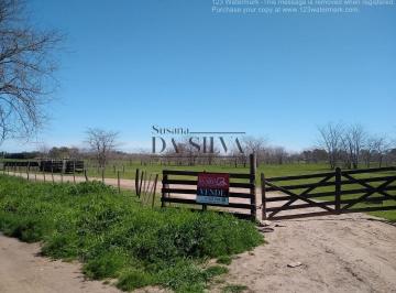 Campo · 20000m² · 1 Ambiente · 2 Hectáreas a 2 Km del Centro de Marcos Paz