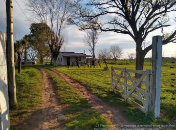 Campo · 40000m² · 3 Ambientes · 4 Ha Sobre Calle Marcos Paz