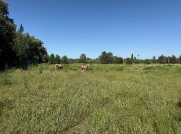 Terreno , San Antonio de Areco · Terreno Para Chacra. Ruta 31. Areco