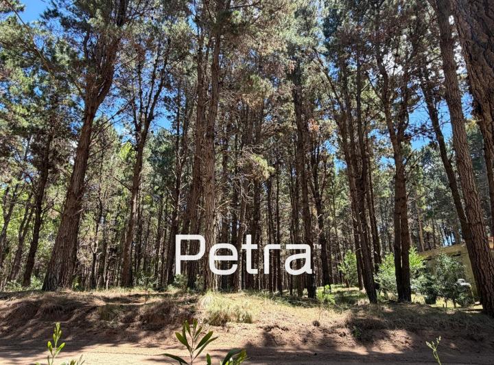 Terreno · 999m²