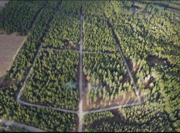 Terreno · 2500m² · Terreno en Mallin Ahogado
