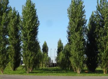 Terreno · 554m² · Terreno - Roldan