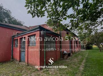 Campo · 50000m² · 4 Ambientes · Chacra 5 Has + Casona + Pulpería en Capilla del Señor