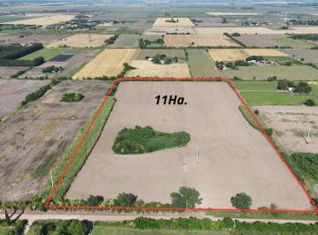Campo · 110000m² · Venta Campo 11 Has Agrícolas - Pérez