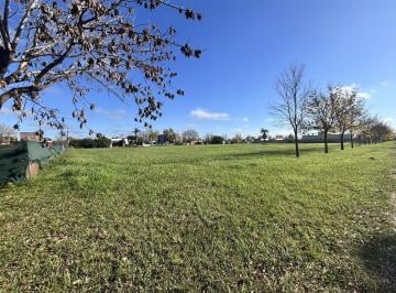 Terreno · 3024m² · Venta - 4 Lotes en Punta Chacra - Barrio Punta Chacra, Roldán.
