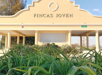 Terreno · 650m² · Terreno en Barrio Fincas Joven, San Vicente