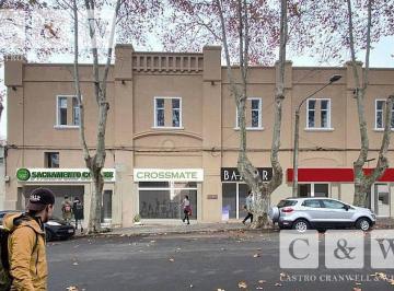 Local comercial · 541m² · Rivera 161 | Locales en Venta y Alquiler | Colonia del Sacramento | Uruguay