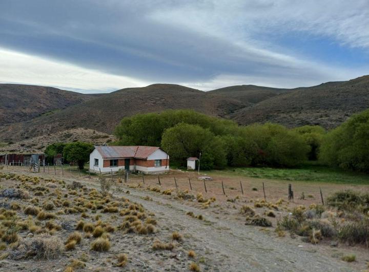 Campo · 13500ha