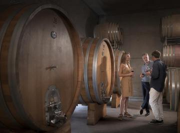 Terreno · 4675m² · Casa de Uco Vineyards & Wine Resort