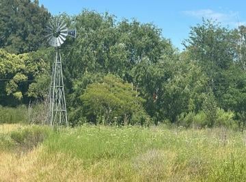 Campo · 10000m² · 1 Ambiente · Venta 1ha en Altamira, Mercedes B.