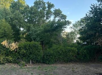 Terreno · 320m² · Lote en Faro Norte