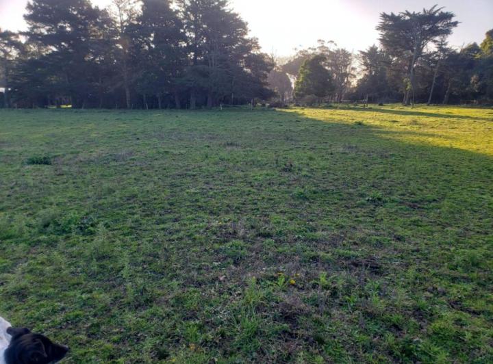 Terreno · 57750m²