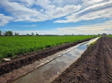 Terreno , Lavalle · Finca en Lavalle de 20 Ha