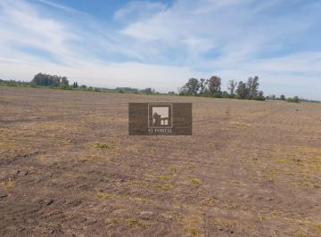 Campo · 1120000m² · Se Vende 112has Departamento Uruguay