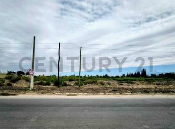 Terreno · 22000m² · Venta de Terreno en Rodeo de La Cruz.