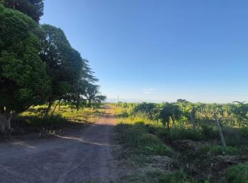 Campo · 570000ha · Finca 57ha Palmira - San Martín