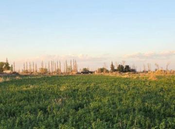 Terreno , La Dormida · ¡Vende Finca! La Dormida, Santa Rosa.