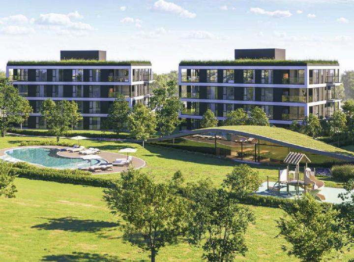 Desarrollo vertical · Palmera Golf