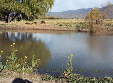 Terreno , Tupungato · Fincas de 15 Has, 8 Has y 6 Ha
