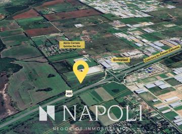 NNI-NNI-3593_2 · Venta de Campo en Vicente Casares, Cañuelas