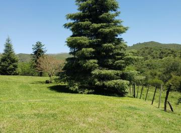 Foto · Terreno Venta Falta del Carmen 8,2 Ha Escritura Inmediata