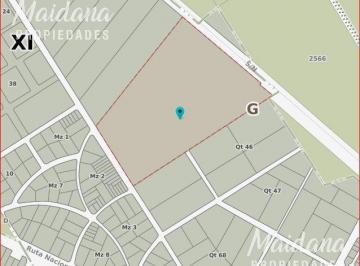 Campo · 165708ha · Campo en Loma Verde
